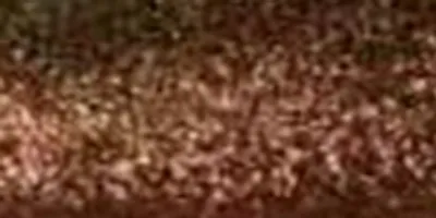 Metallic Swatch 18