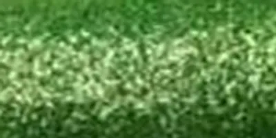 Metallic Swatch 19