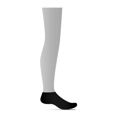 Ankle