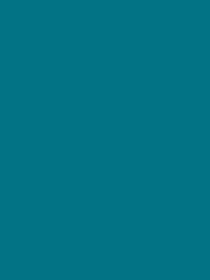 PMS 7474