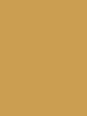 PMS 7407